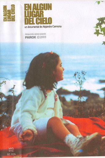 Poster for En algún lugar del cielo