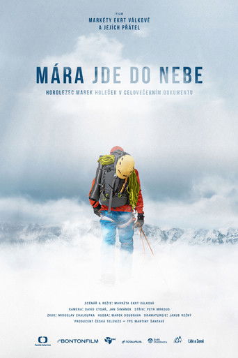 Poster for Mára Goes to Heaven