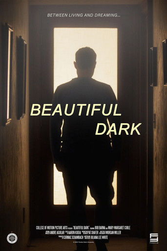 Poster for Beautiful Dark