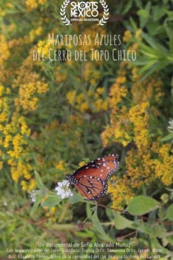 Poster for Mariposas Azules Del Cerro Del Topo Chico