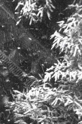 Poster for Schneefall
