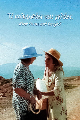 Poster for What swims and laughs?