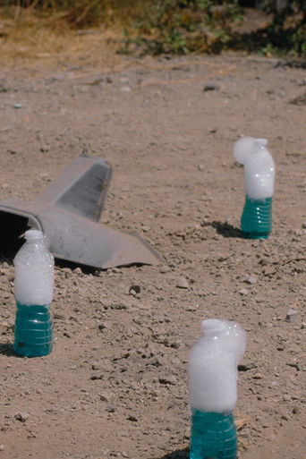 Poster for Bottle Bomb