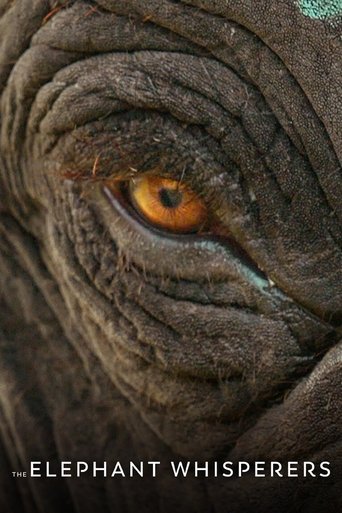 Poster for The Elephant Whisperers