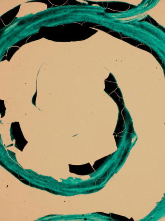 Poster for The Red Tide