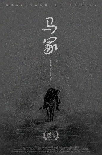 Poster for Graveyard of Horses