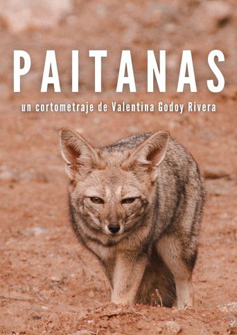 Poster for Paitanas