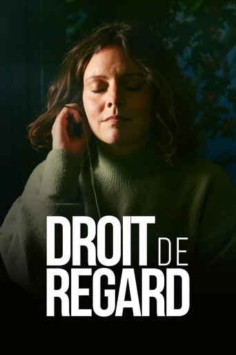 Poster for Droit de regard