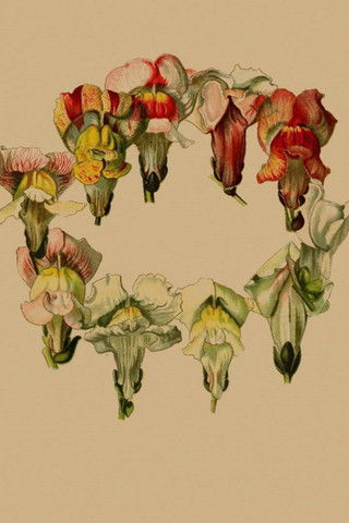 Poster for Stories In Place: Plante.