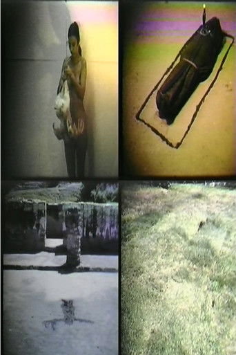 Poster for Ana Mendieta: Selected Film Works