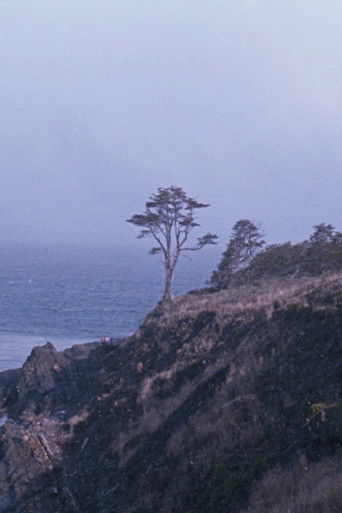 Poster for The Tree