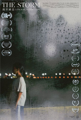 Poster for The Storm