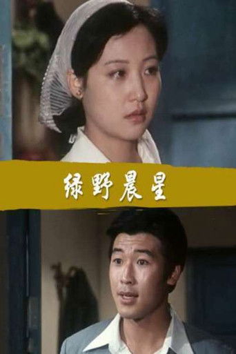 Poster for 绿野晨星