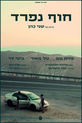 Poster for Different Shores