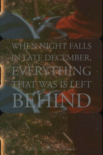 Poster for When Night Falls in Late December, Everything That Was is Left Behind