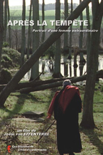 Poster for Après la tempête