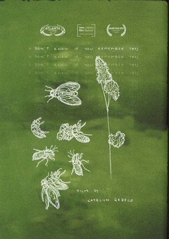 Poster for I Don't Know If You Remember This
