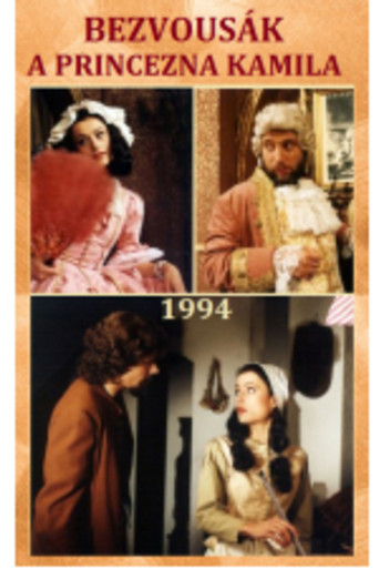 Poster for Bezvousák a princezna Kamila