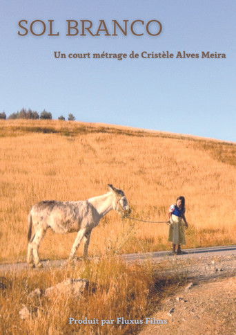 Poster for Sol Branco