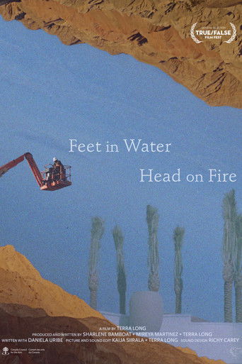 Poster for Feet in Water, Head on Fire