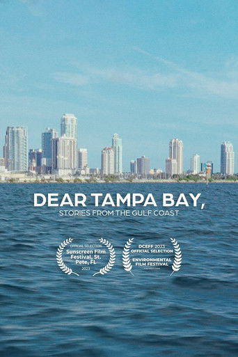Poster for Dear Tampa Bay