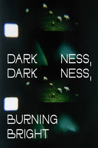 Poster for Darkness, Darkness, Burning Bright