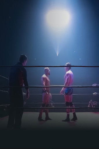 Poster for Dans le ring du Diamant