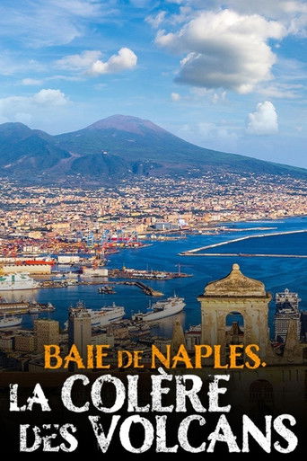 Poster for Baie de Naples, la colère des volcans