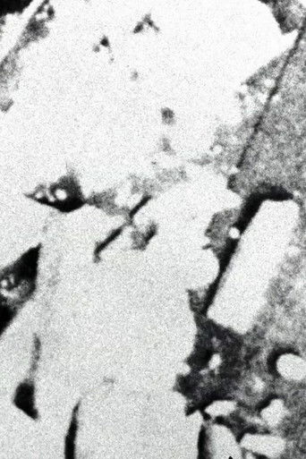 Poster for Smoke
