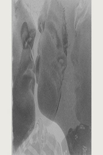 Poster for Vis à Vis