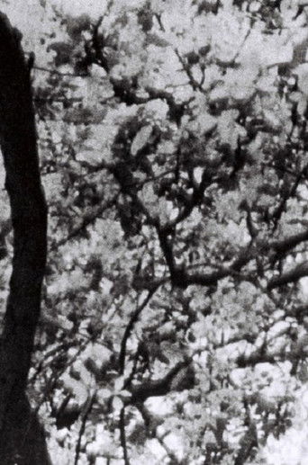Poster for This is for Jonas Mekas