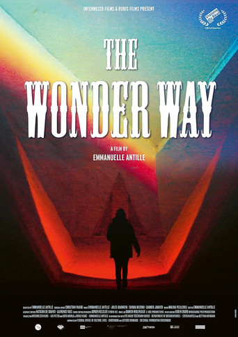 Poster for The Wonder Way