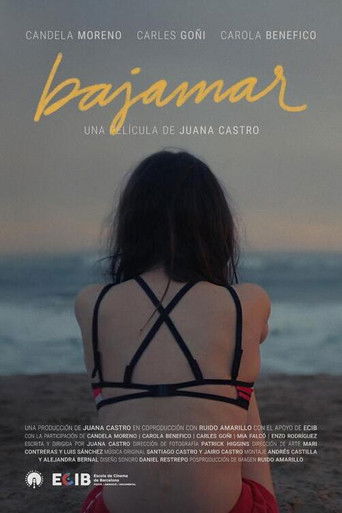 Poster for Low Tide