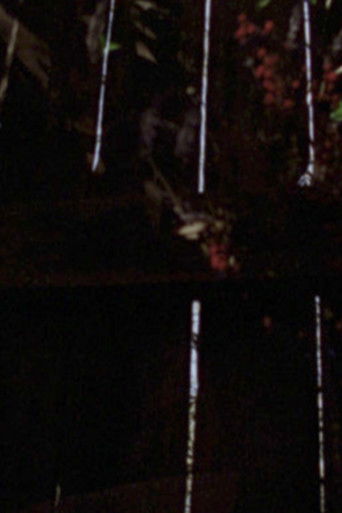 Poster for Garden Glimpses