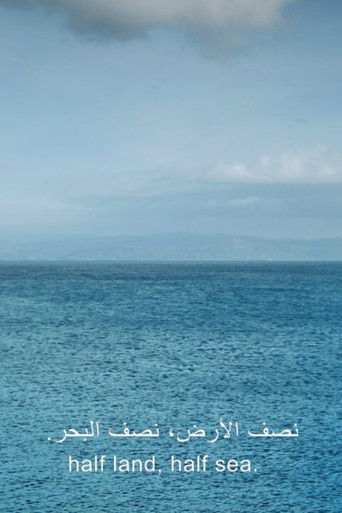 Poster for one emerging from a point of view