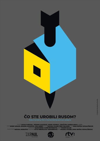Poster for What have you done to the Russians?