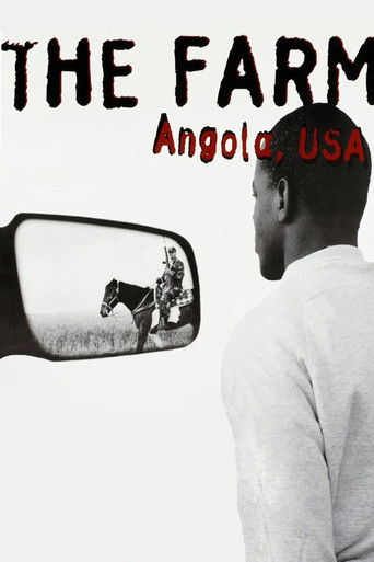 Poster for The Farm: Angola, USA