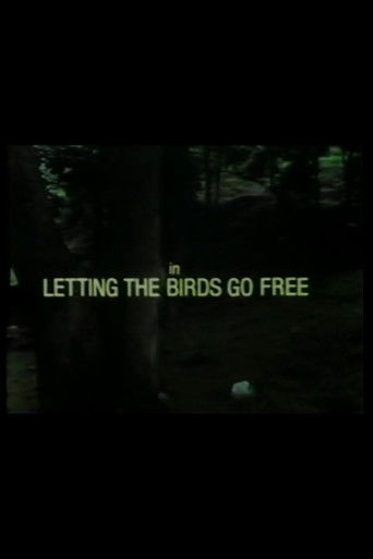 Poster for Letting the Birds Go Free
