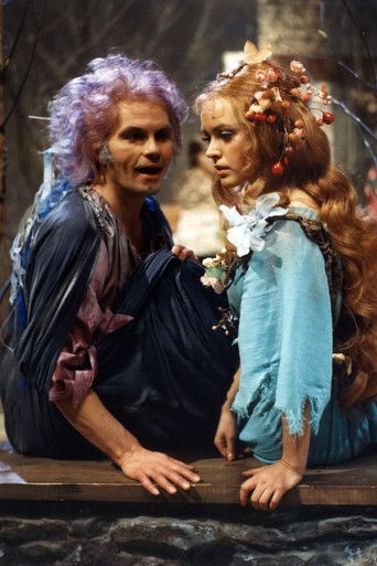 Poster for Meluzína