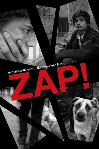 Poster for Zap!