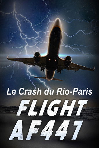 Poster for Vol AF 447, Le crash du Rio-Paris