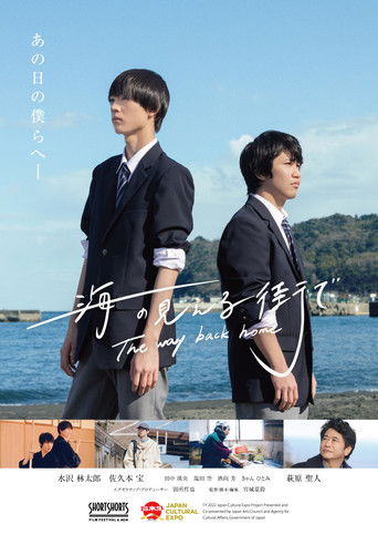 Poster for The way back home