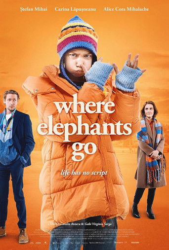 Poster for Where Elephants Go
