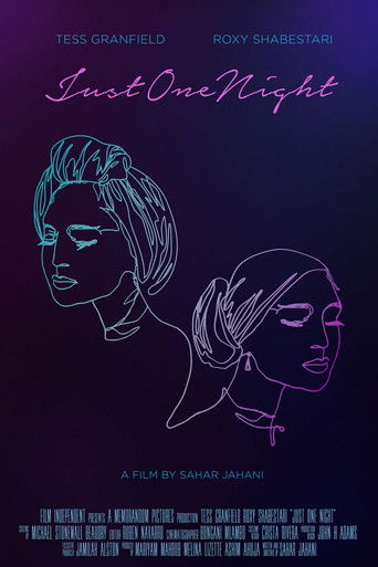 Poster for Just One Night