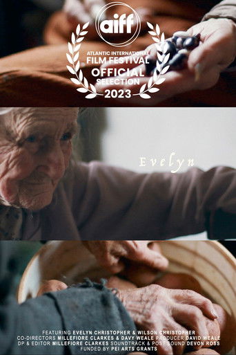 Poster for Evelyn