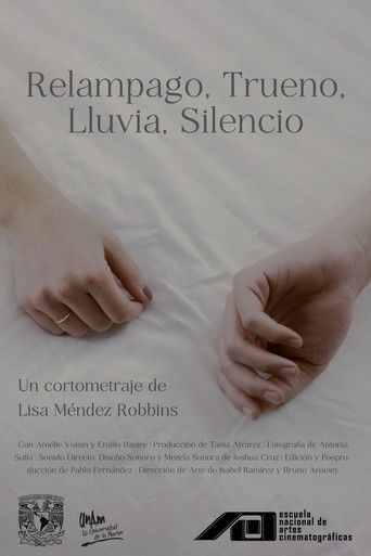 Poster for Silence After Storm