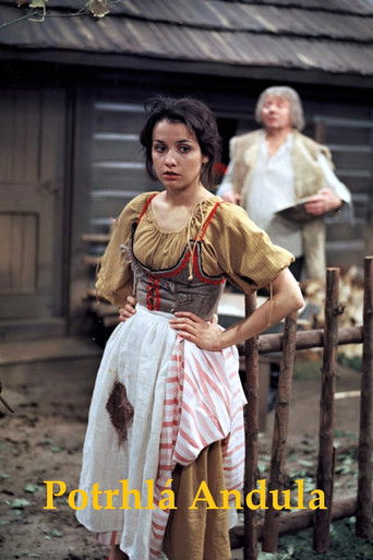 Poster for Potrhlá Andula