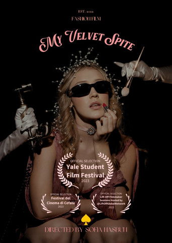 Poster for My Velvet Spite