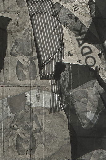 Poster for Negative / Positive Film