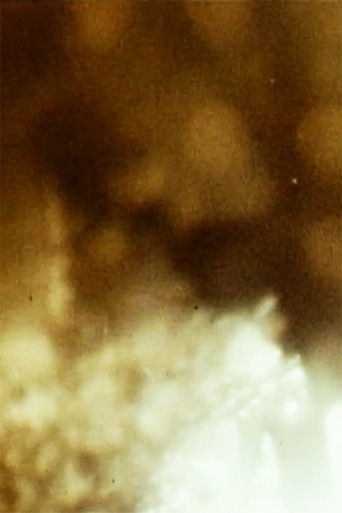 Poster for Closet Film
